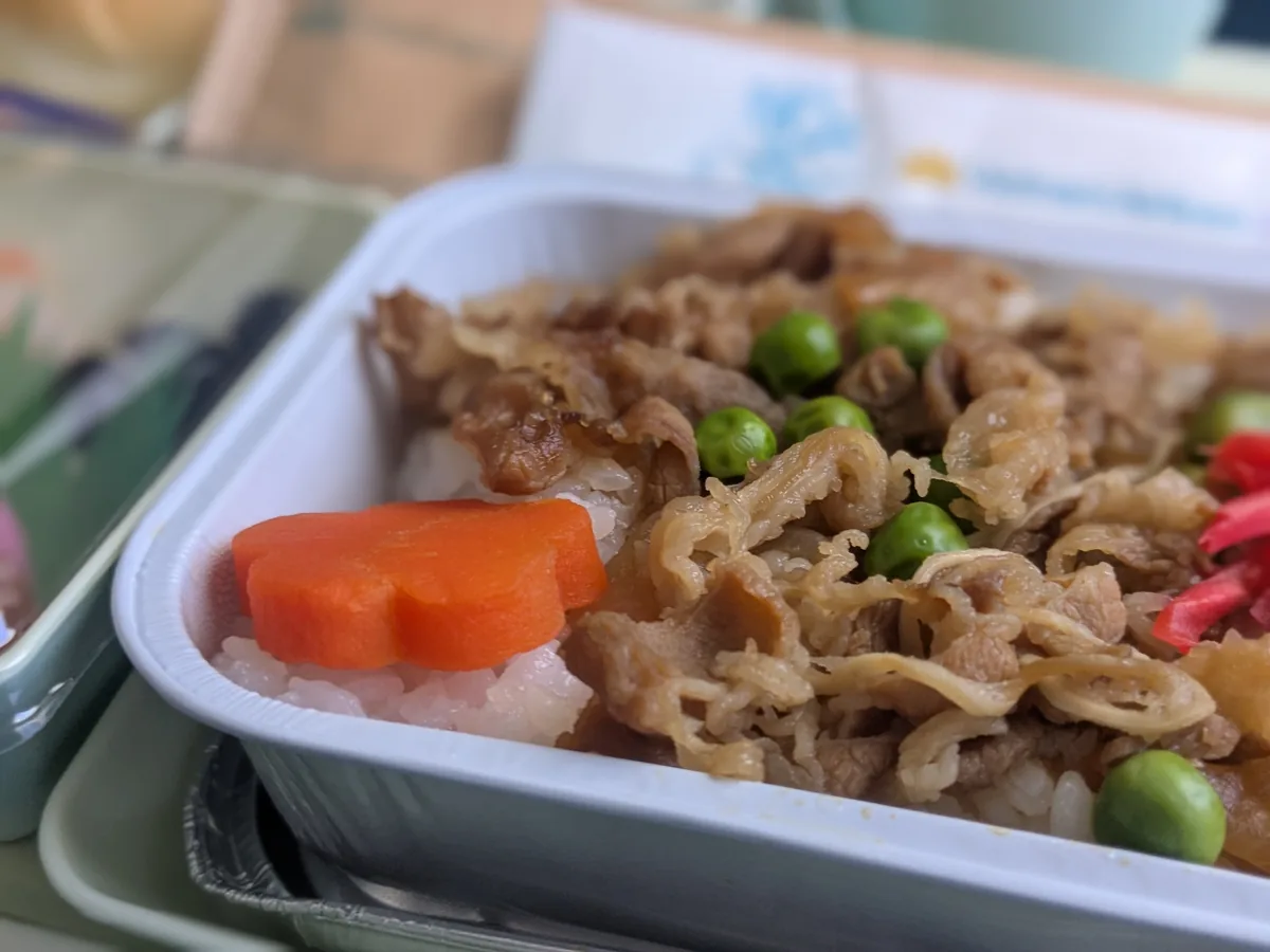 グリンピースと紅生姜がのったベトナム航空の牛丼風機内食
