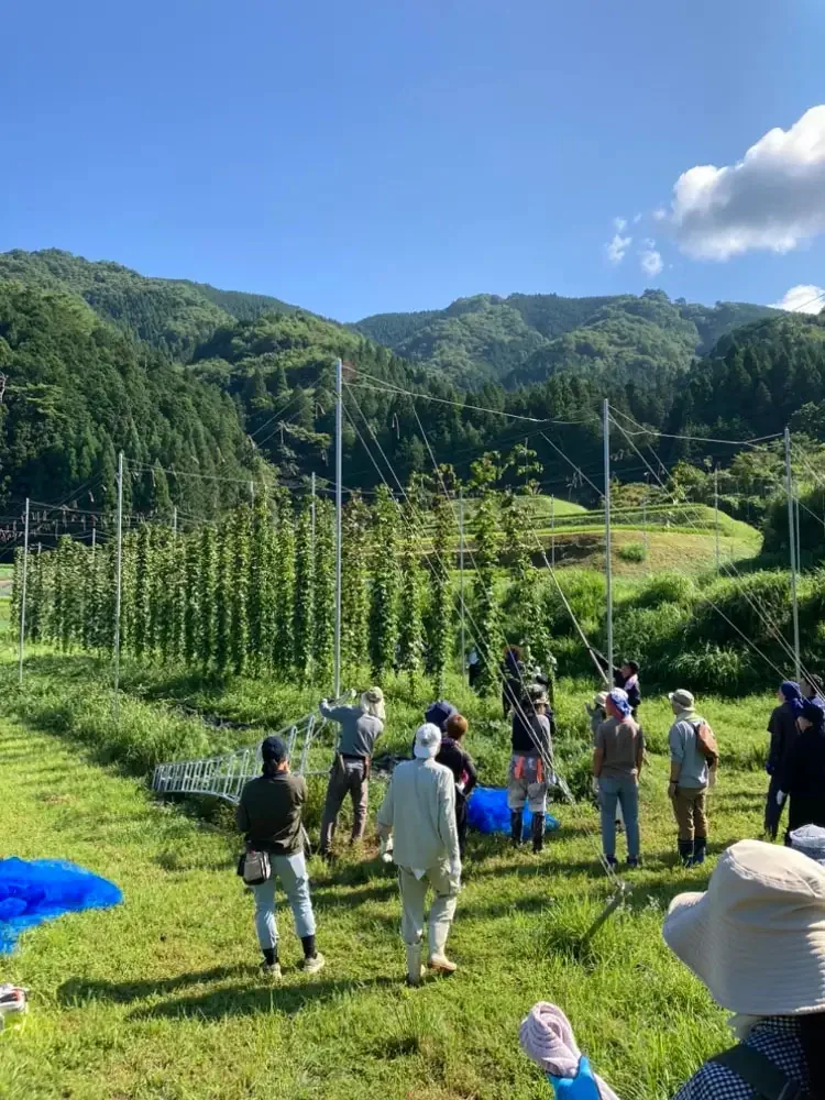 真夏のホップ狩り2026で稲武の圃場に集合した参加者と、背景に広がる山並み
